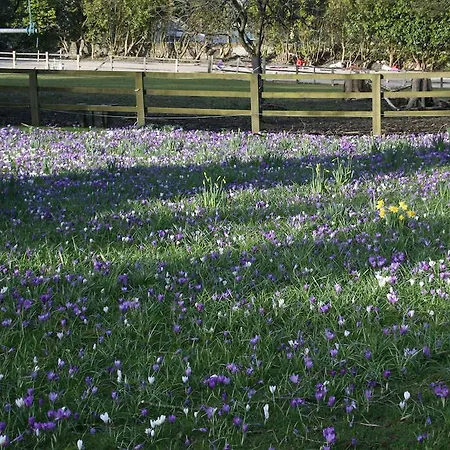 Bed & Breakfast Weston House Bunclody